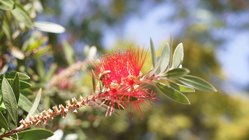 Imagen de actividad en el Laboratorio Los Invisibles